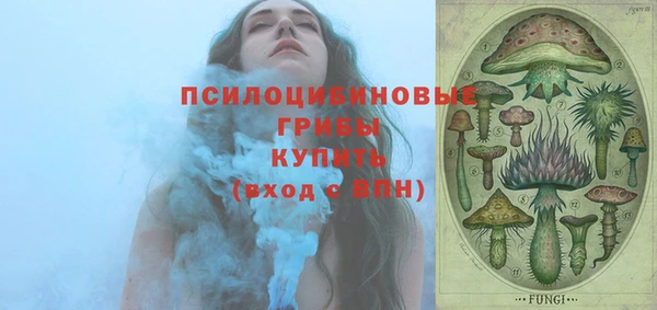 гидра Кулебаки