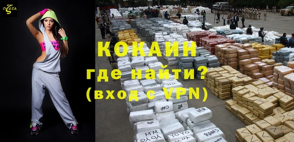 гидра Кулебаки