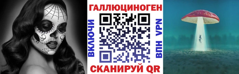 Псилоцибиновые грибы Psilocybine cubensis  Пласт 
